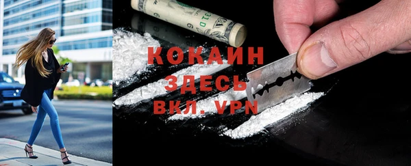 PSILOCYBIN Балахна