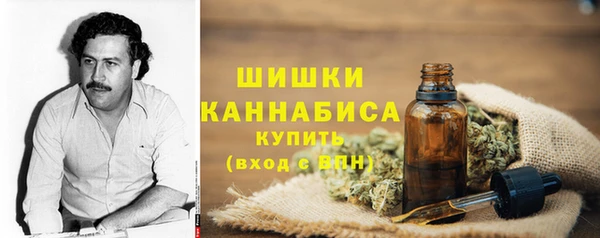 PSILOCYBIN Балахна